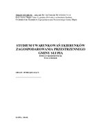 Tekst studium.pdf